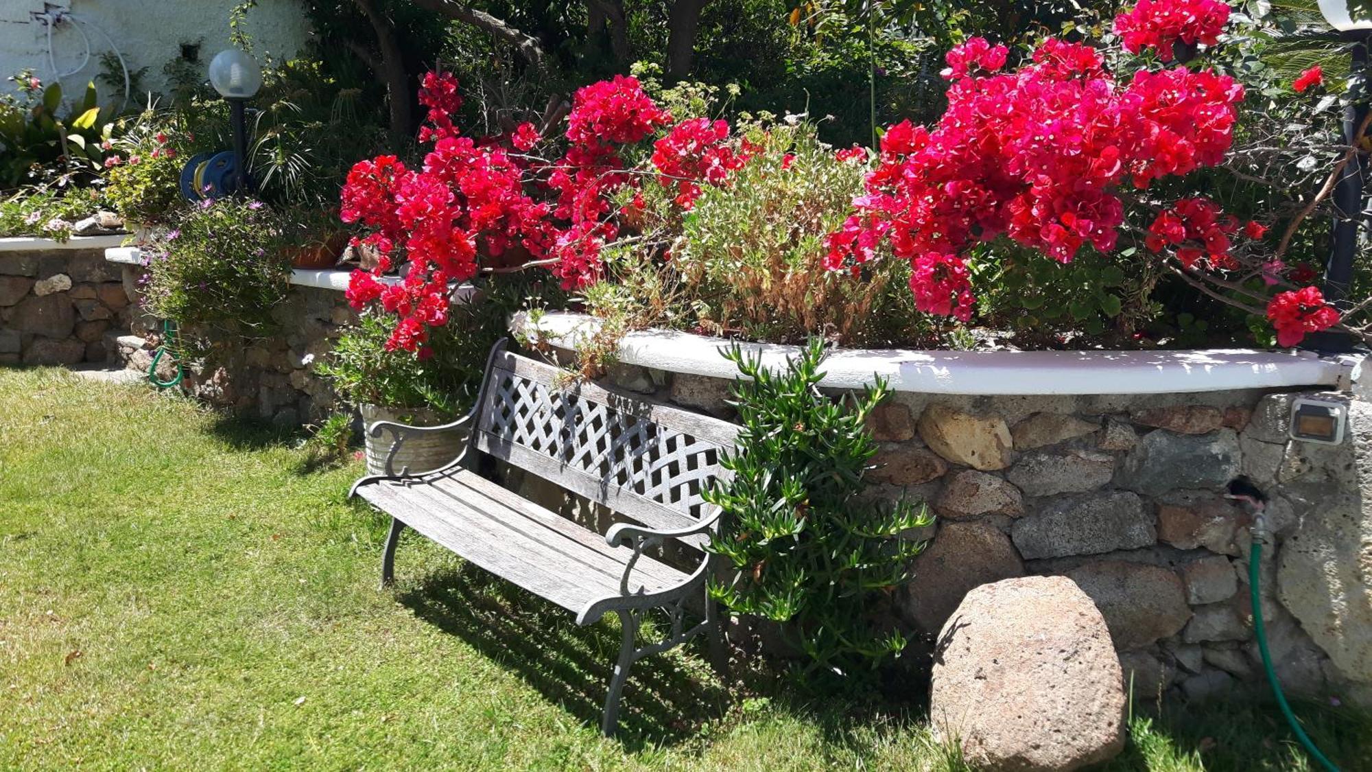 Casa Acqua Marina Ponza公寓 外观 照片